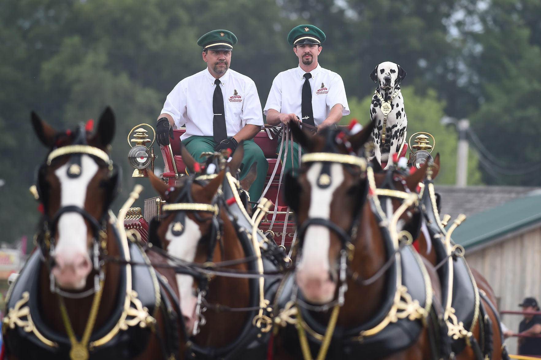 071121-nws-clydesdales_8